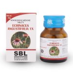 Echinacea Angustifolia 1X