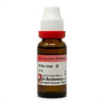 Dr. Reckeweg Filix mas Q