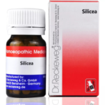 Dr. Reckeweg Silicea Tablet