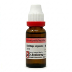 Dr. Reckeweg Solidago virgaurea Q