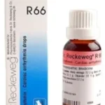Dr. Reckeweg R66