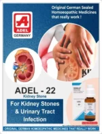 ADEL 22 - Kidney Drops - Image 3