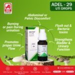 ADEL 29 - UTI Drops - Image 2